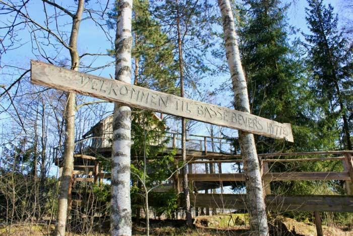 Tretopphytter Pa Grensen - Beverhytta Med Robat Og Gjeddefiske Chalet